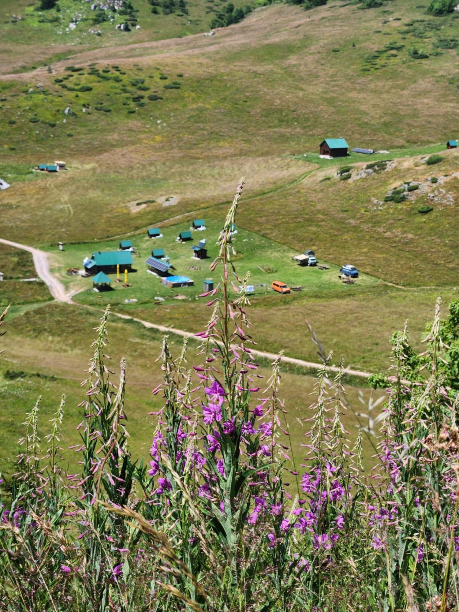 Rural Household Janketic Колашин Экстерьер фото