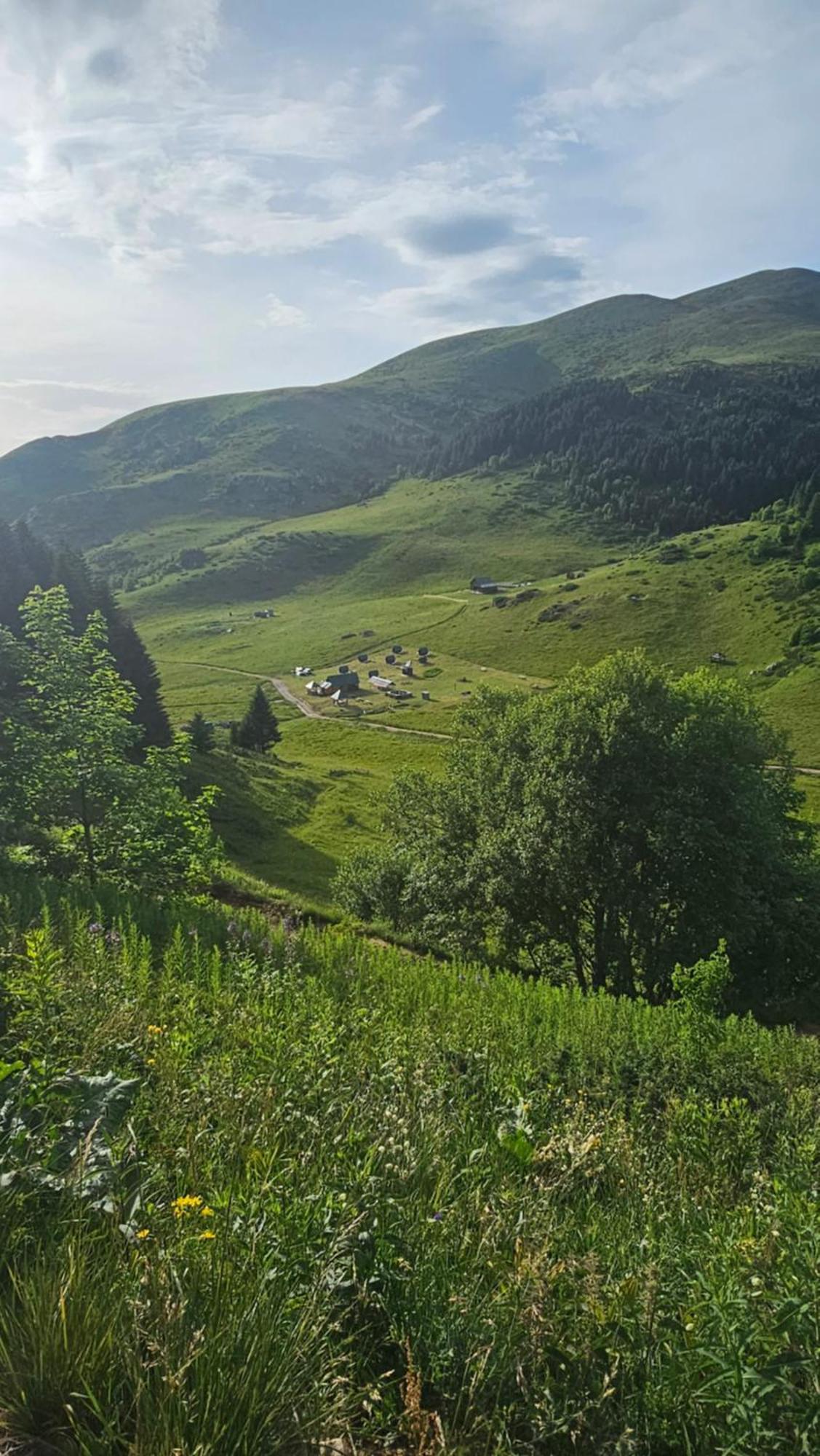 Rural Household Janketic Колашин Экстерьер фото